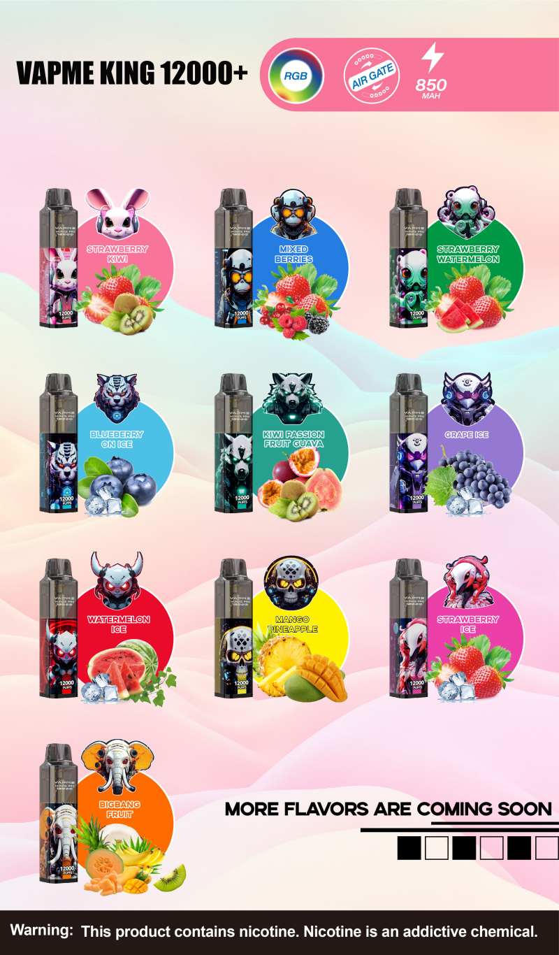 vapme King Pro 12000PUFFS VAPE vapme King Pro 12000PUFFS VAPE