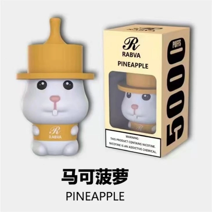 Rabva 5000 Puff Vape