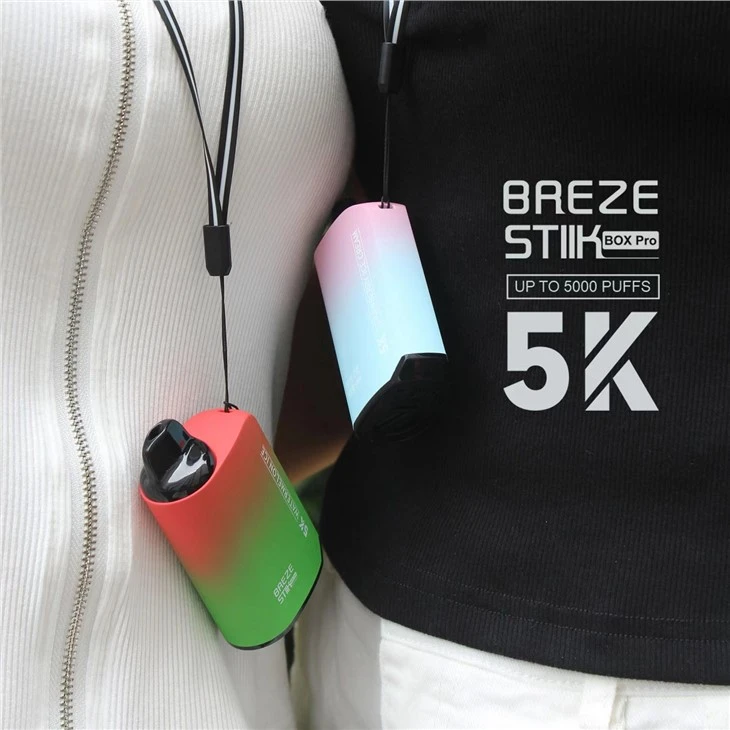 Breze Stiik 5000
