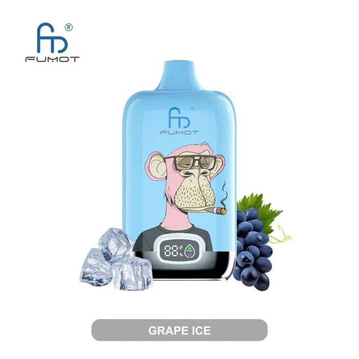 FUMOT DIGITAL BOX 12000 VAPE