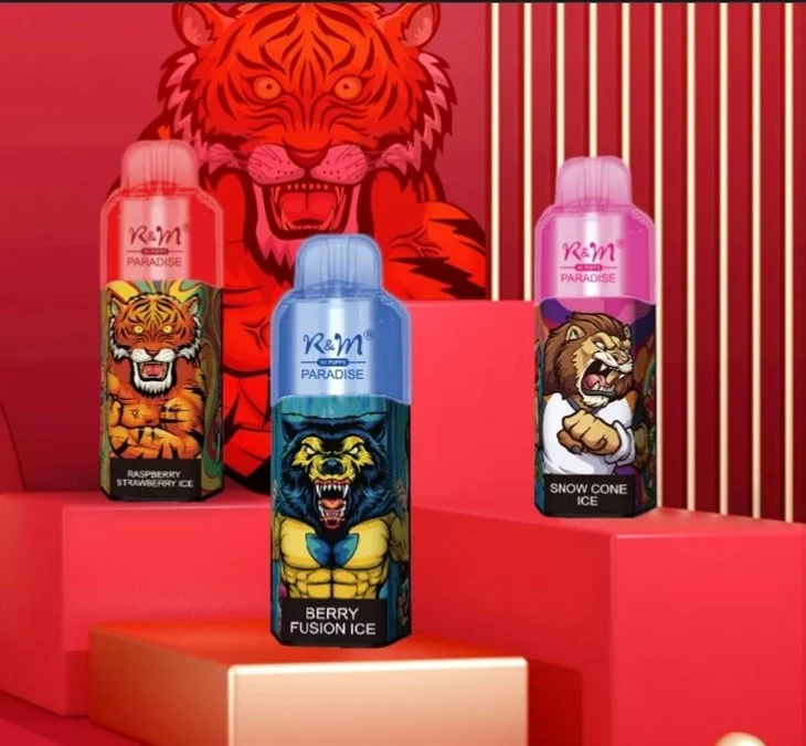 R&M PARADISE 8000 puffs