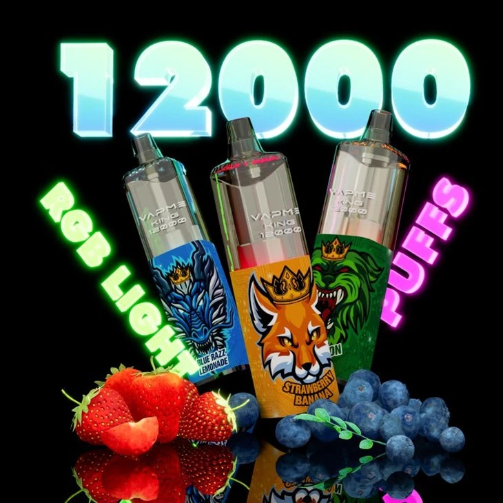 VAPME KING 12000