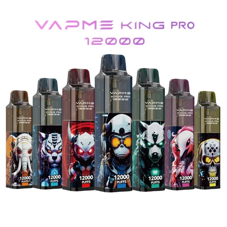 VAPME King Pro 12000