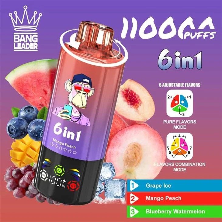 BANG LEADER 110000 10