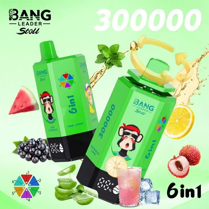 bang leader 300000 11