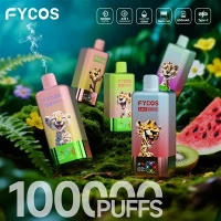 FYCOS 4 I 1 100K