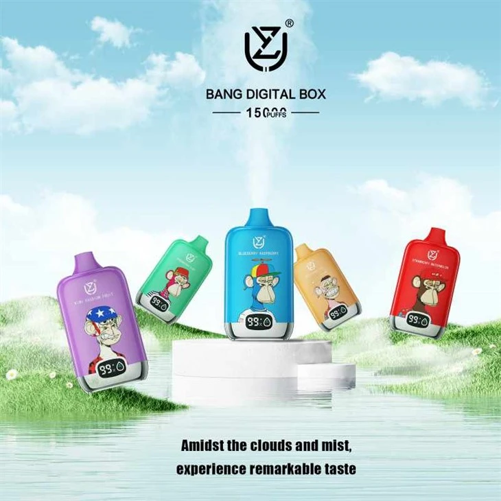 UZY BANG DIGITAL BOX 15000